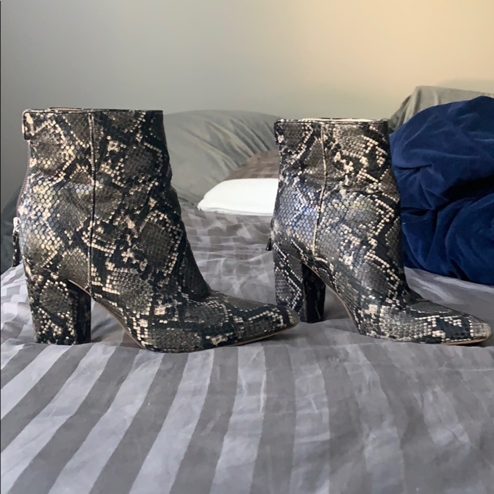 Steve Madden snake skin booties